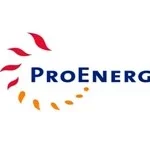Logo PT Pro Energi